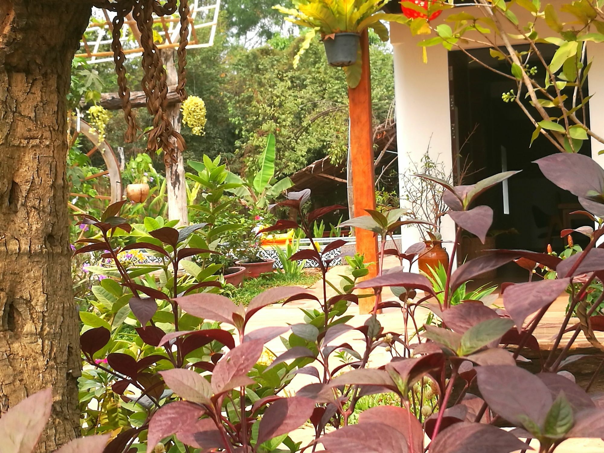 Angkor Dino B&B Sziemreap Kültér fotó